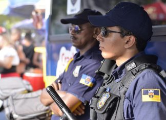 Guarda Municipal de Olinda apreende linha com cerol e atua no resgate de capivara, em Bairro Novo