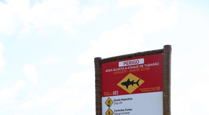 Cemit orienta população sobre banho de mar seguro no feriado de 7 de setembro