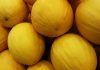 Painel da Sudene reúne dados sobre os principais produtos agrícolas do Nordeste
