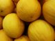Painel da Sudene reúne dados sobre os principais produtos agrícolas do Nordeste