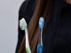 Dia Nacional da Saúde Bucal reforça importância da prevenção e da atualização profissional; NE Odonto acontece em novembro, no Recife