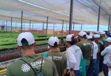 Senar-PE abre inscrições para cursos técnicos gratuitos da Rede e-Tec 2027.1