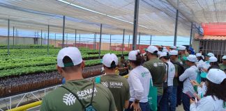 Senar-PE abre inscrições para cursos técnicos gratuitos da Rede e-Tec 2027.1