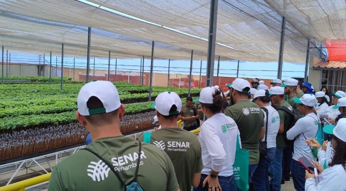 Senar-PE abre inscrições para cursos técnicos gratuitos da Rede e-Tec 2027.1