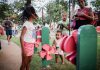 Eleições: Confira o funcionamento dos serviços municipais do Recife para o próximo domingo (4)