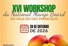 Workshop internacional vai discutir produção, qualidade e competitividade da manga, no Vale do São Francisco