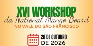 Workshop internacional vai discutir produção, qualidade e competitividade da manga, no Vale do São Francisco